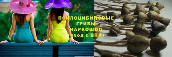 первитин Гусиноозёрск